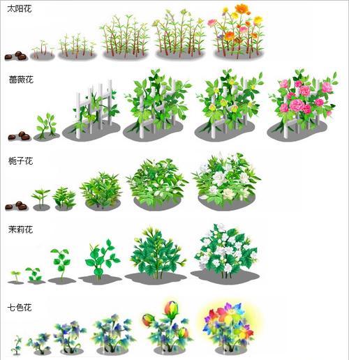 阳光下的勇气（向日葵的成长之路）