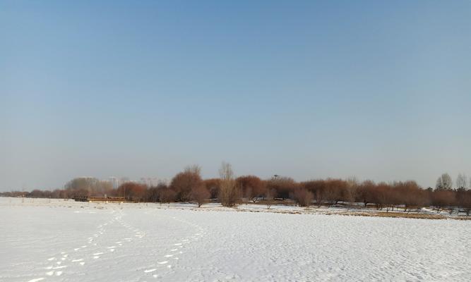 怀念故乡的雪