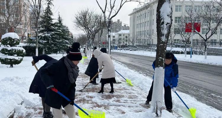 清晨扫雪的人们（清晨扫雪的人们）