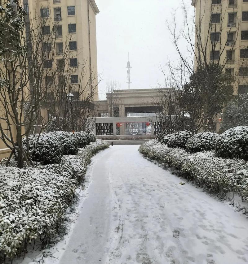 冬日里的温暖（当雪花飘落，温情慢慢绽放）