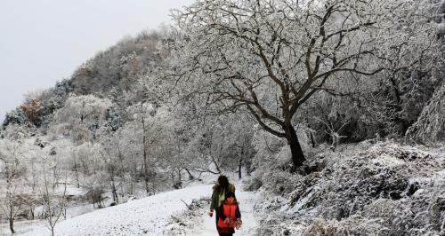 一场雪，一段情，一丝怀念（一场雪，一段情，一丝怀念）