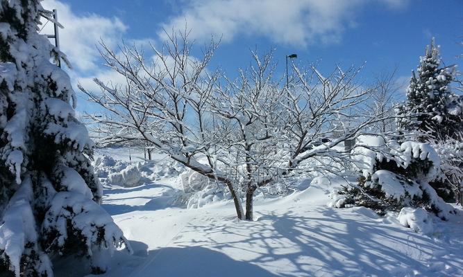 雪下了，故事开始了（雪下了，故事开始了）