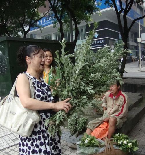 端午节习俗小故事——艾草、粽子和龙舟（七仙女的故事）