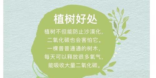 成长的春天——追寻梦想的路上（春天给了我无限的可能）