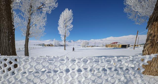 白雪皑皑，美丽如画（一场意外的相遇）