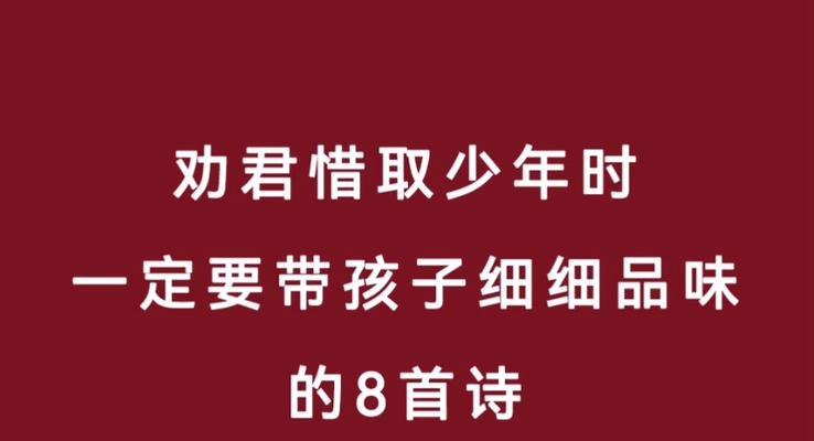 青春岁月不可错过（青春岁月不可错过）