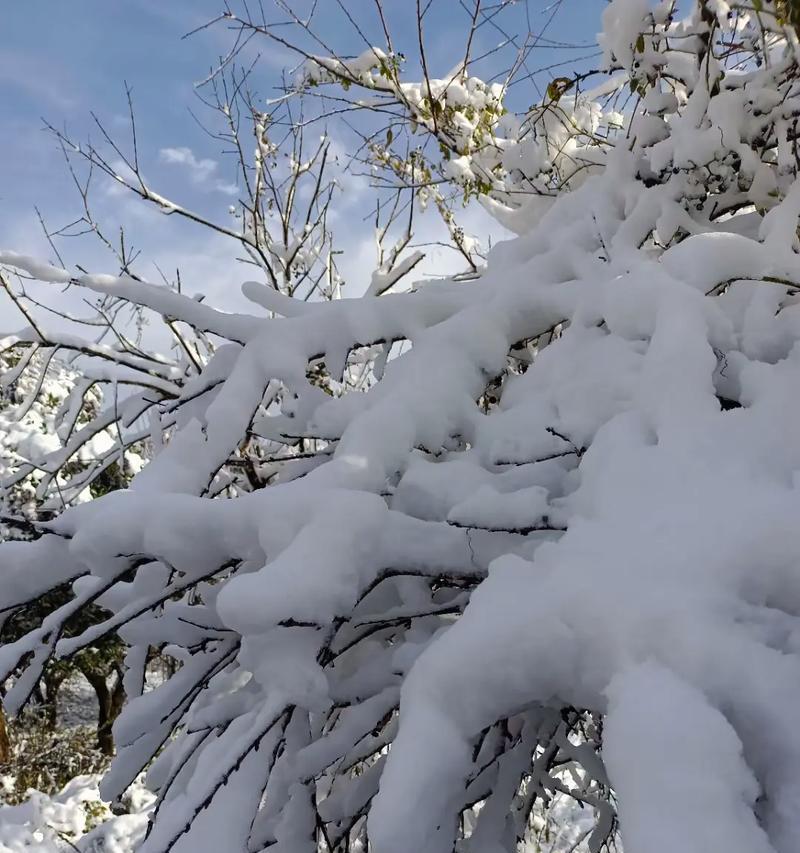 下雪的那个冬天（一场雪，一段情）