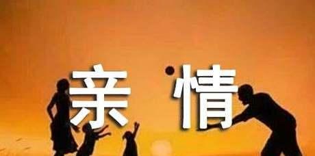 亲情的力量