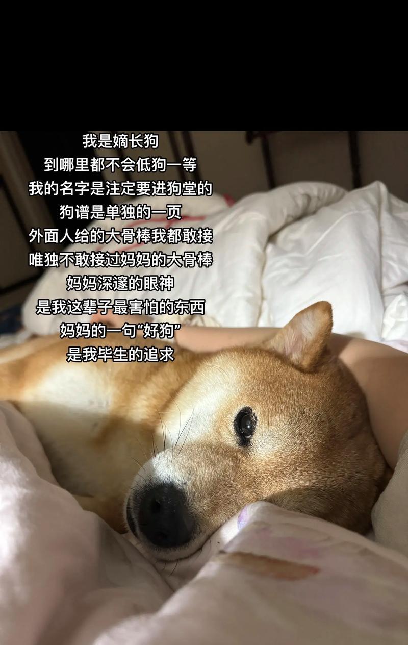 我是主角