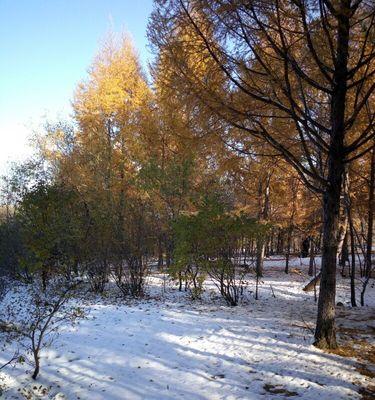 雪地之音——听冬天的脚步声（白雪皑皑，脚步轻轻，走进心灵深处）