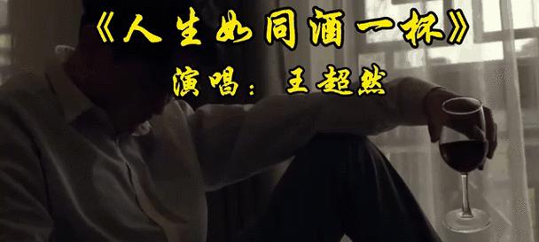 生活如同一锅好酒（探寻人生之味）