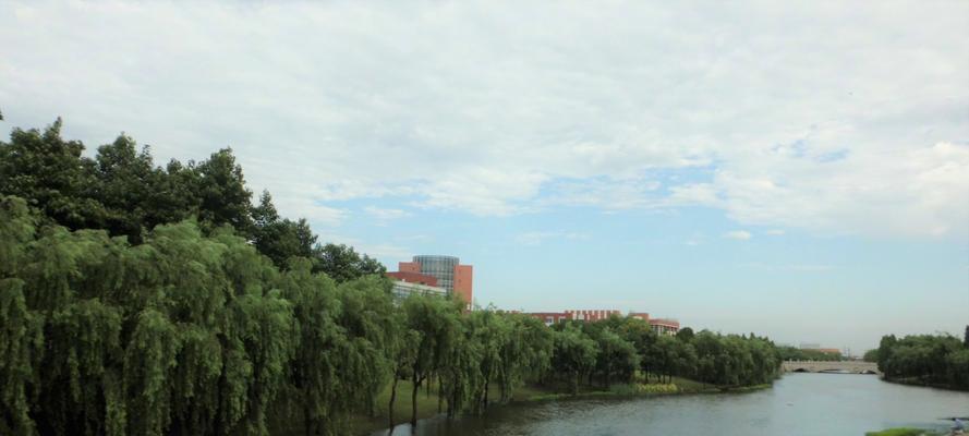 探秘校园美景（一个小学生的探险记）