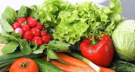 ATasteofFreshness（AStoryofDiscoveringtheBeautyinFruitsandVegetables）