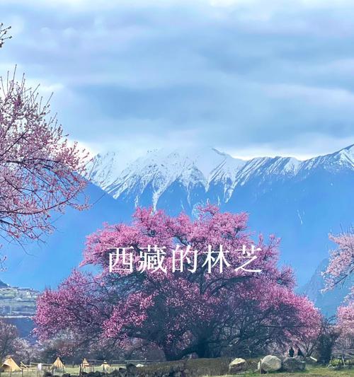 大自然之美：与自然共生的人类