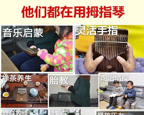 陶冶我的情操（经历与成长，塑造我坚强的心灵）