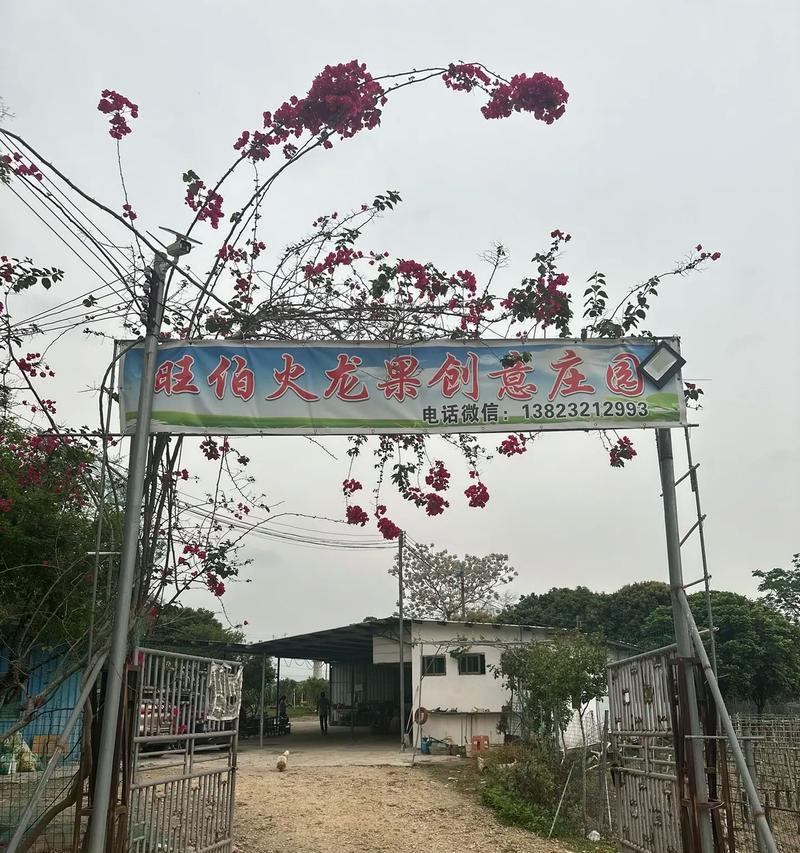 与你一起度过的美好日子（回忆那些温馨时刻）