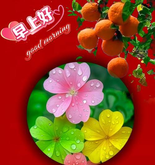 五月初五，龙舟狂欢（在夏日的江边上，人们庆祝着龙舟节）