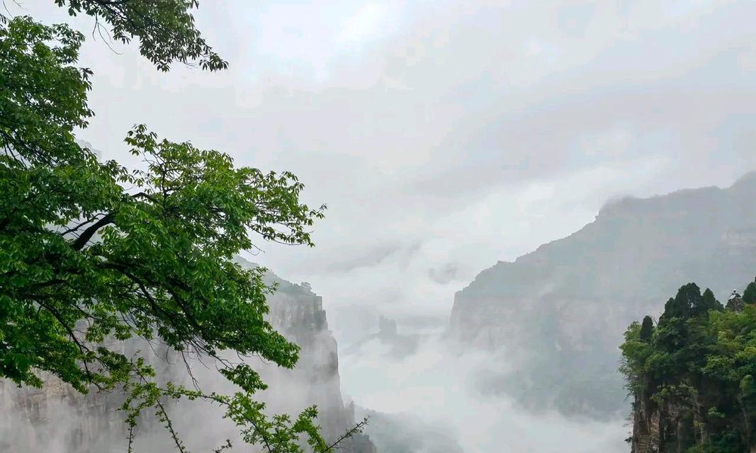 大自然的魅力（一个小男孩的探险之旅）