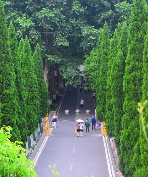 追寻自然风光的美好（一场心灵之旅）