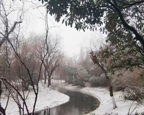 雪中童话（雪中童话）