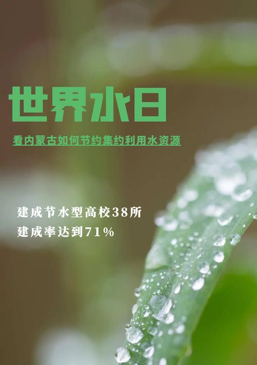 一粒沙子（珍惜每一个资源）
