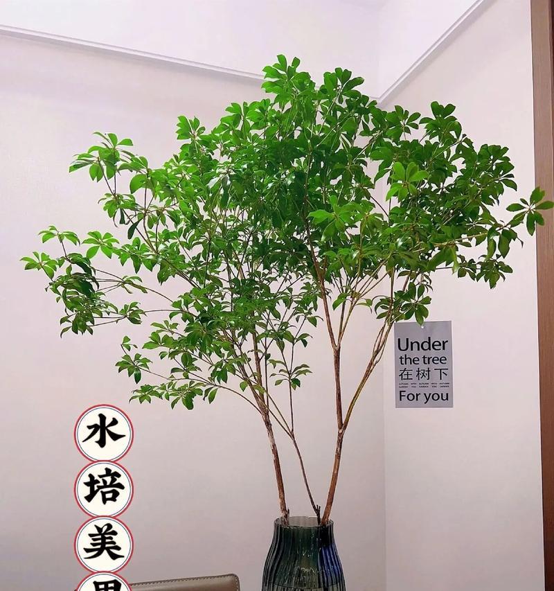 四季流转，美妙绵延；（邂逅春光，心旷神怡；）