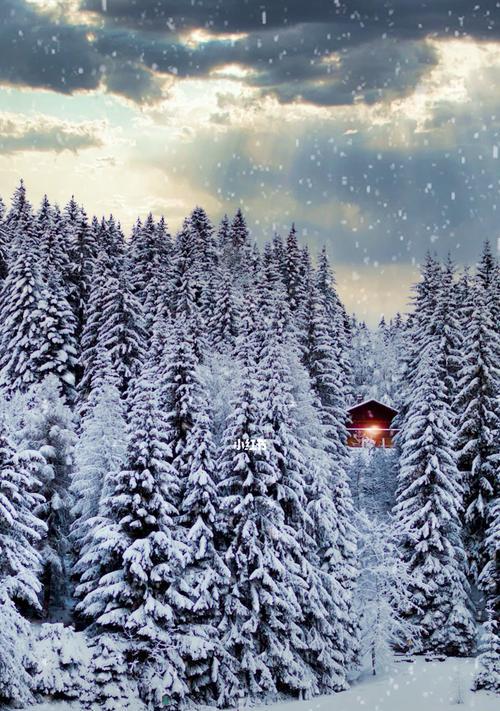 冬日的美景（冰雪皑皑，红烧火锅，暖心的温度）