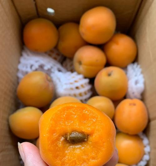 错过了的机会，带给我了什么？（错过了的机会，带给我了什么？）