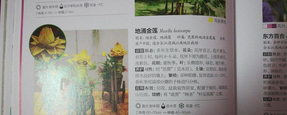 亲近自然，远离烦恼（一位城市少年与大自然的故事）