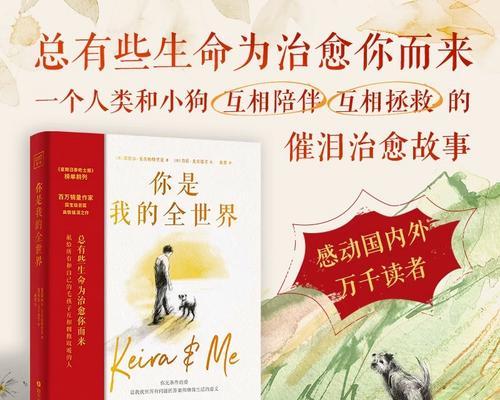 温暖了内心的小小雨滴（别样的雨天故事）