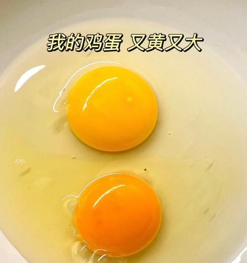 勇气与恐惧的较量（敢于面对内心的困惑和挑战）