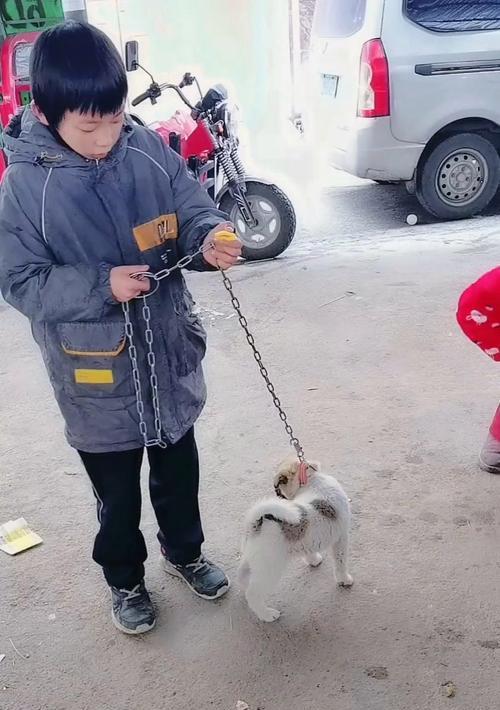 小狗的忠诚与坚韧（一个人和他的狗的故事）