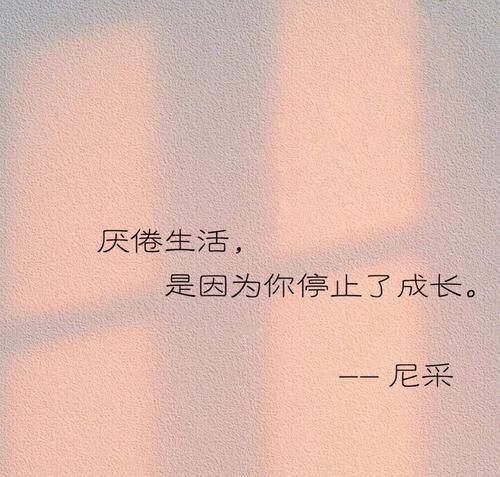 失去与获得（经历了一场车祸之后）