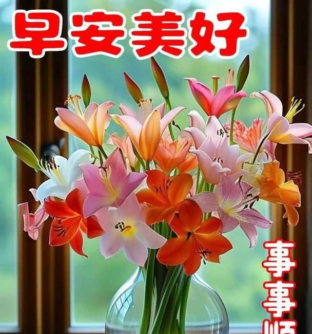夏日的美好