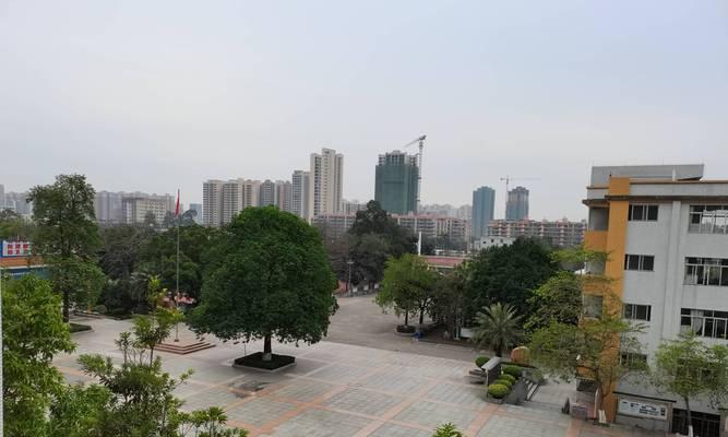 美丽校园中的奇遇