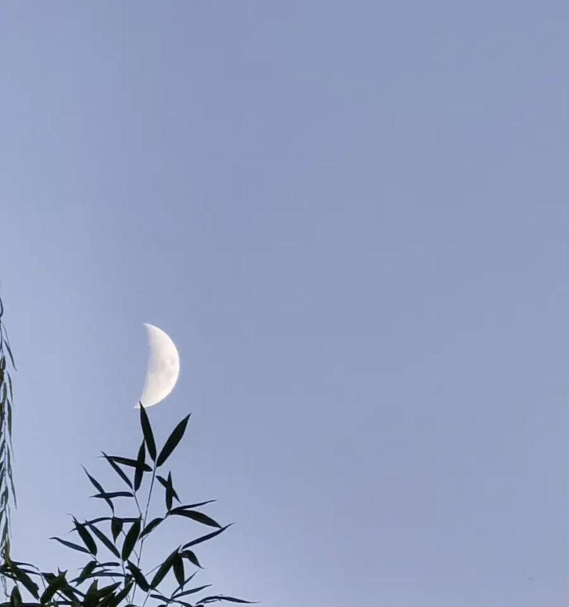 神秘的季节，充满着色彩（神秘的季节，充满着色彩）