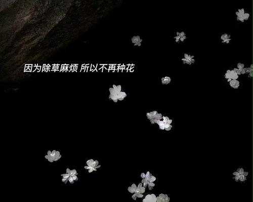 不退缩的勇气（困境中的奋斗者）