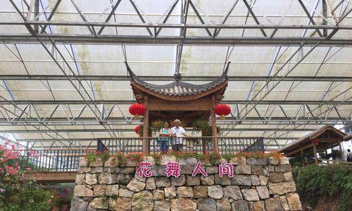 拥抱美好，享受欢乐（拥抱美好，享受欢乐）