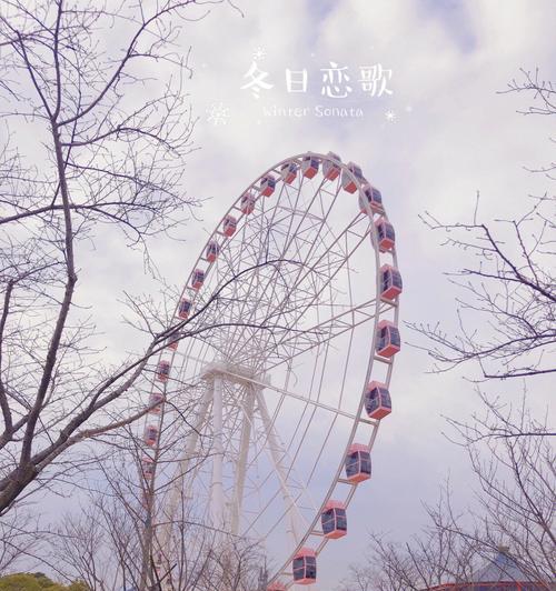 从寂静到热闹，我的冬日公园之旅（从寂静到热闹，我的冬日公园之旅）