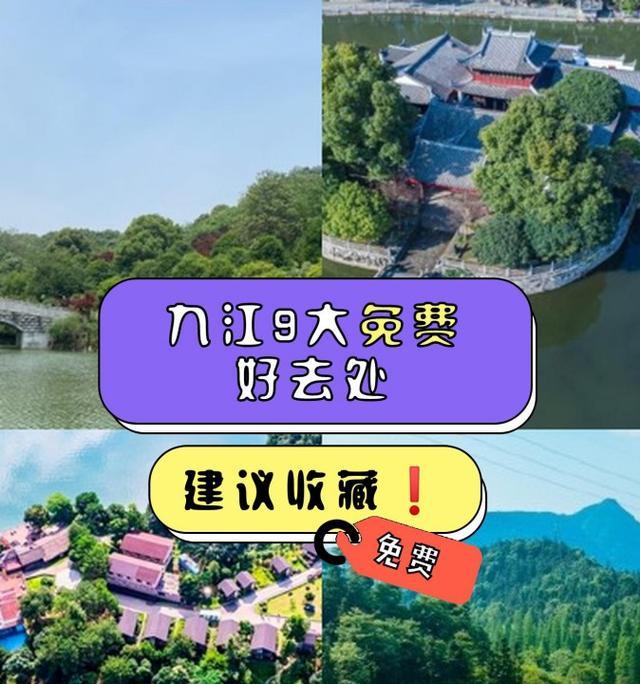 南山公园：重逢与离别