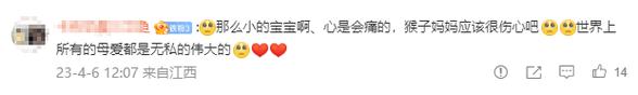 父爱无边（一个父亲的爱让儿子重生）