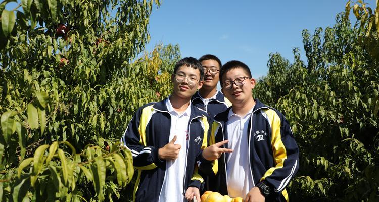 劳动的果实（真正的收获在于劳动）
