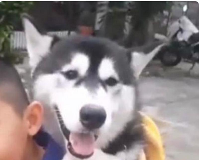 难忘的伙伴（一段值得珍藏的回忆）