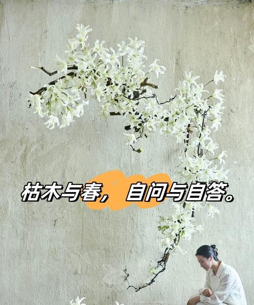 燕子归巢（春天的味道）