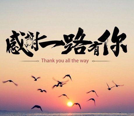 母亲，我的人生导师（在我迷茫时引路，让我成为更好的自己）