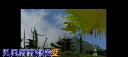 阳光总在风雨后（一个坚强女孩的成长故事）