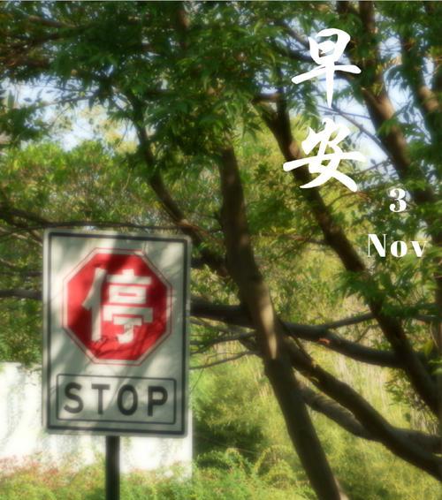 早晨的快乐