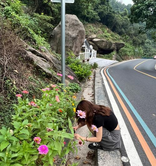 平静如水（一张生活的照片）