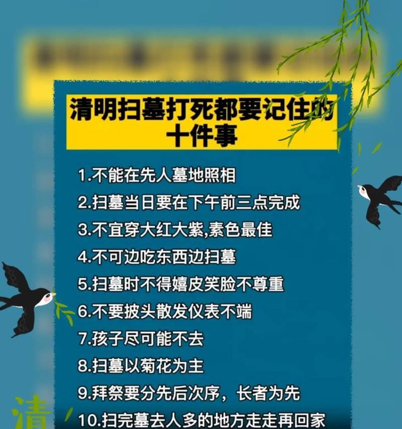 清明节，我和他们一起回忆（墓前花开，思念如昨）