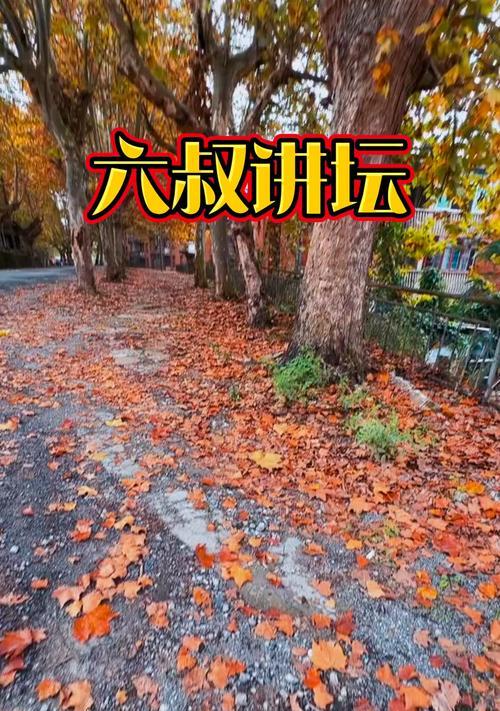 追寻梦想的路上（追寻梦想的路上）